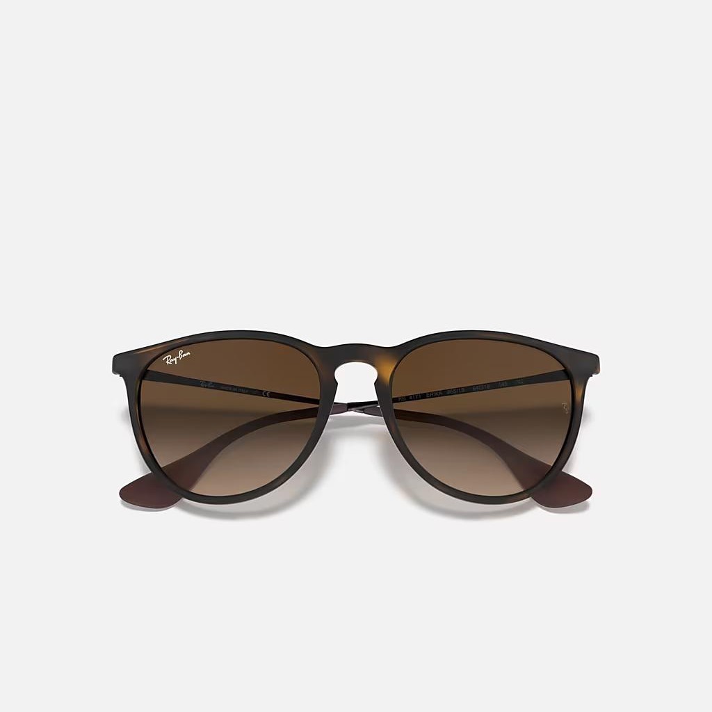 Kính Ray-Ban Erika Classic Nâu Nhám