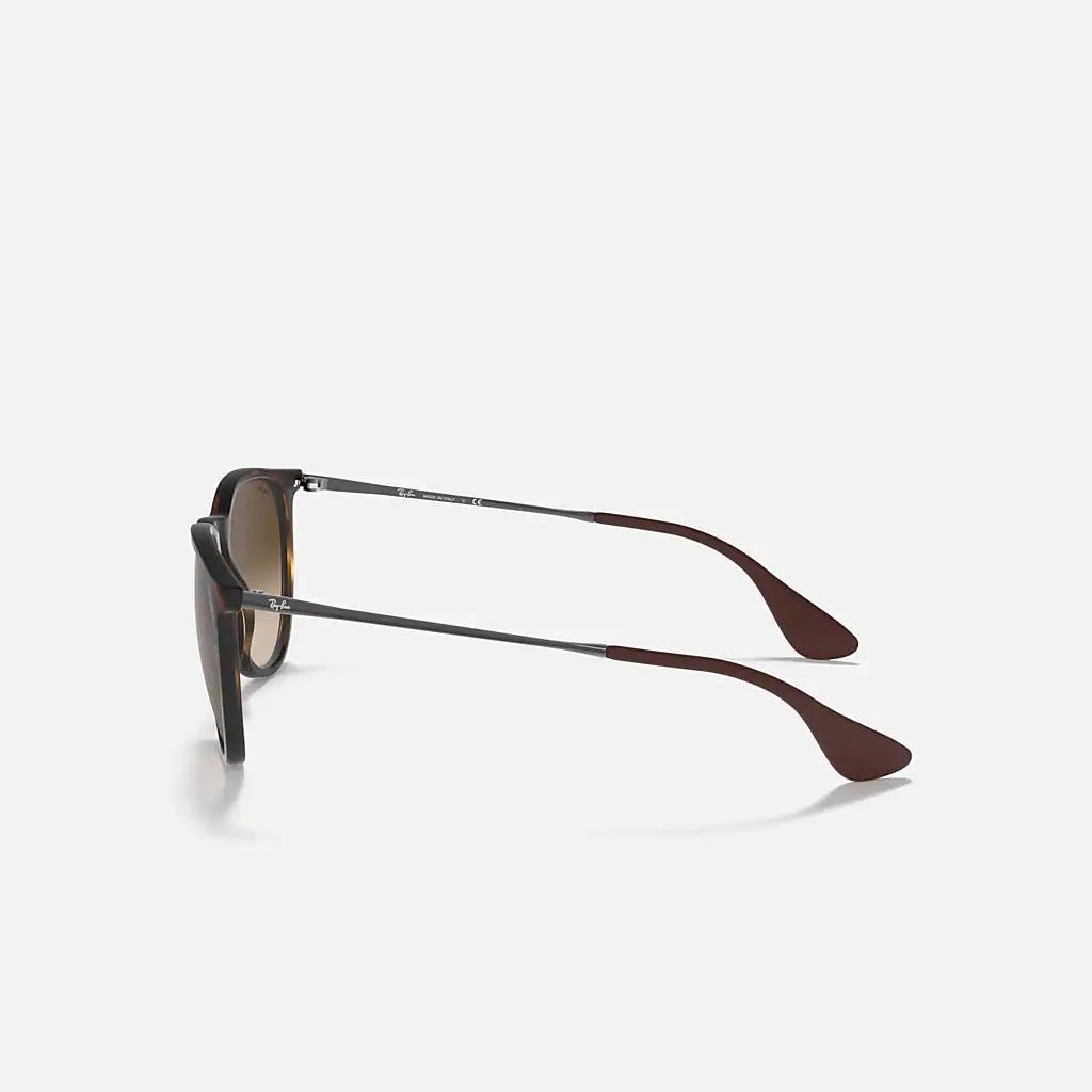 Kính Ray-Ban Erika Classic Nâu Nhám