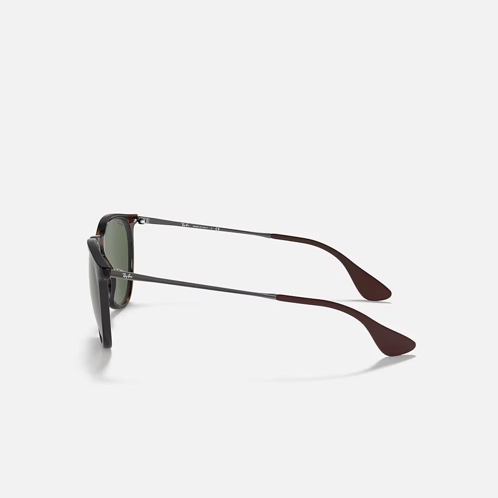 Kính Ray-Ban Erika Classic Nâu Xanh Lá