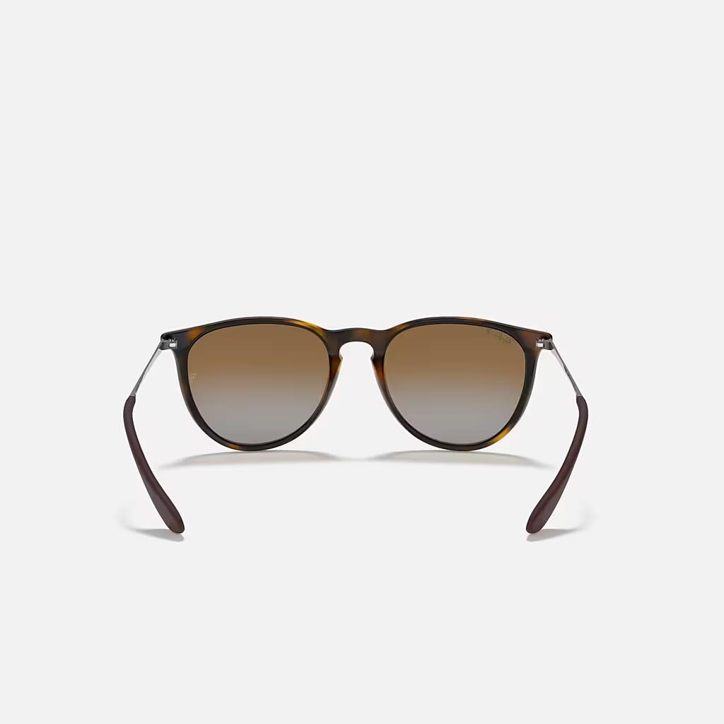 Kính Ray-Ban Erika Classic Nâu