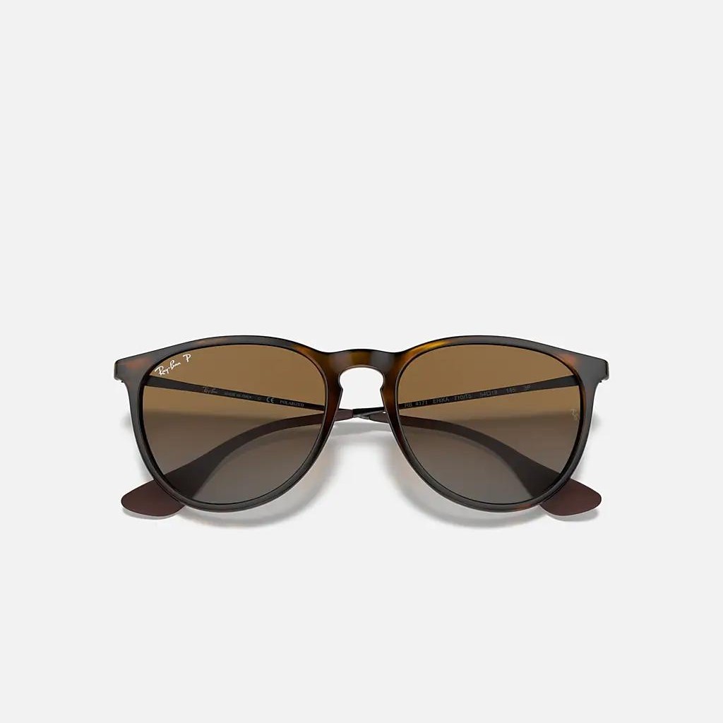 Kính Ray-Ban Erika Classic Nâu