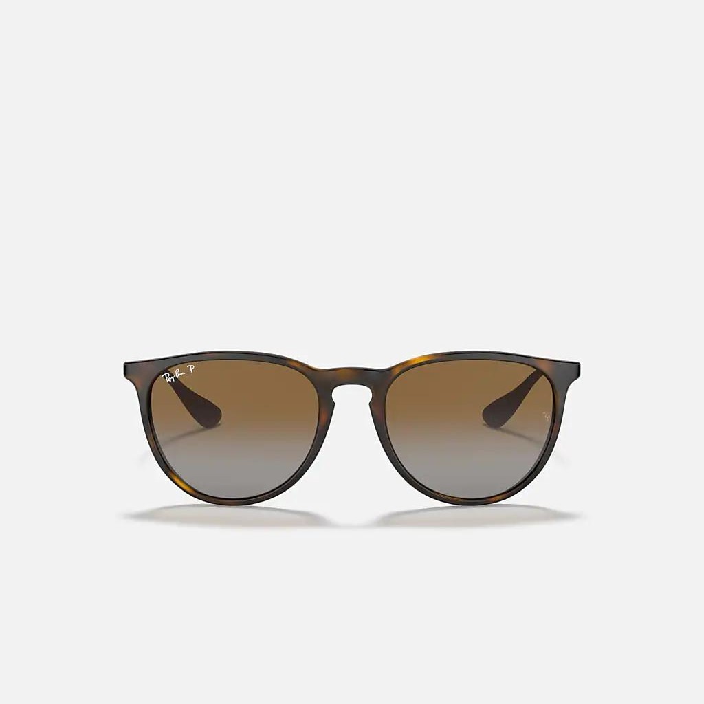 Kính Ray-Ban Erika Classic Nâu