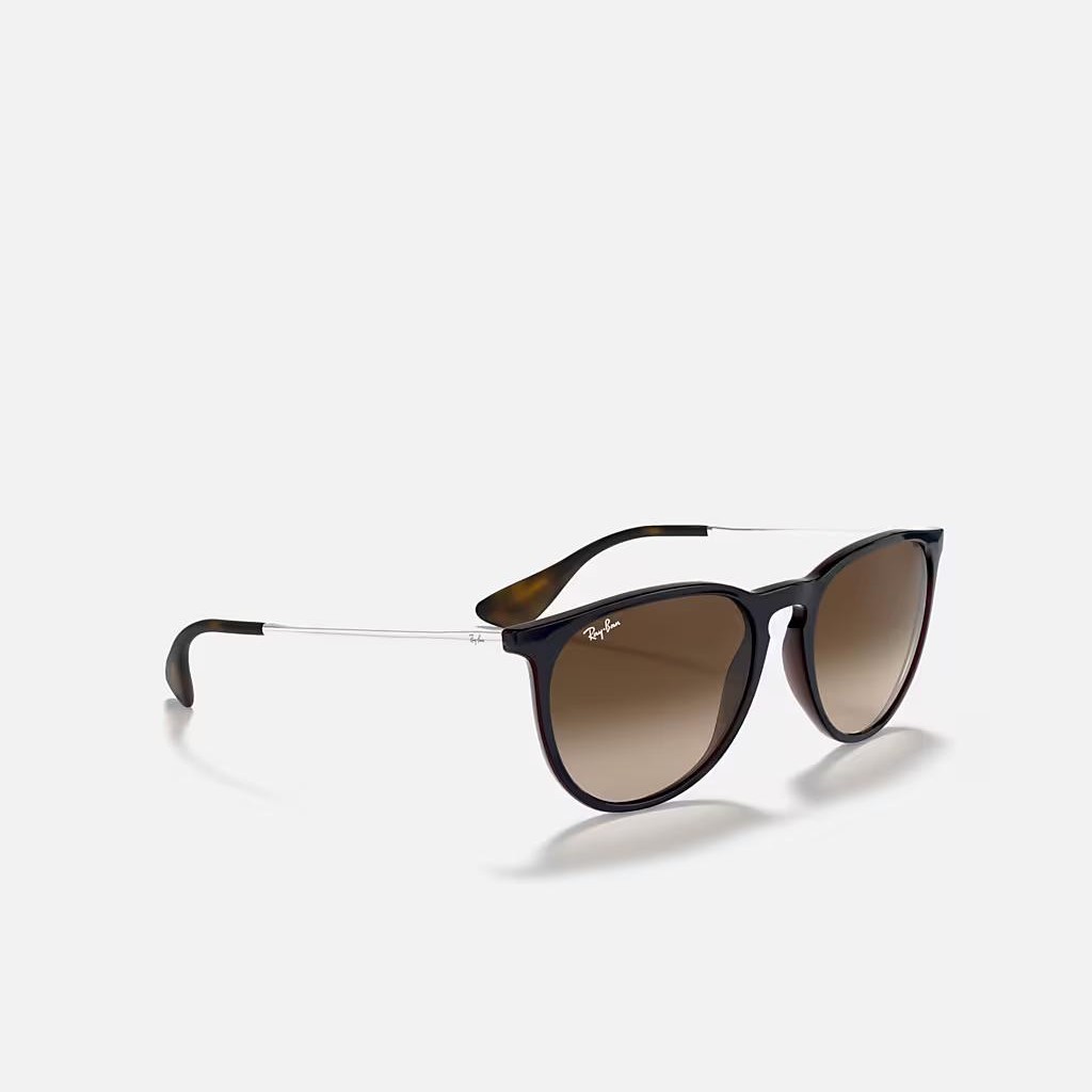 Kính Ray-Ban Erika Classic Đen Nâu