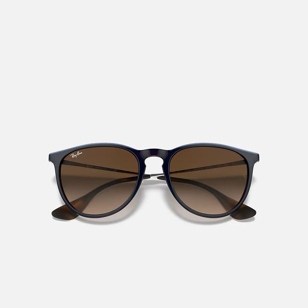 Kính Ray-Ban Erika Classic Đen Nâu