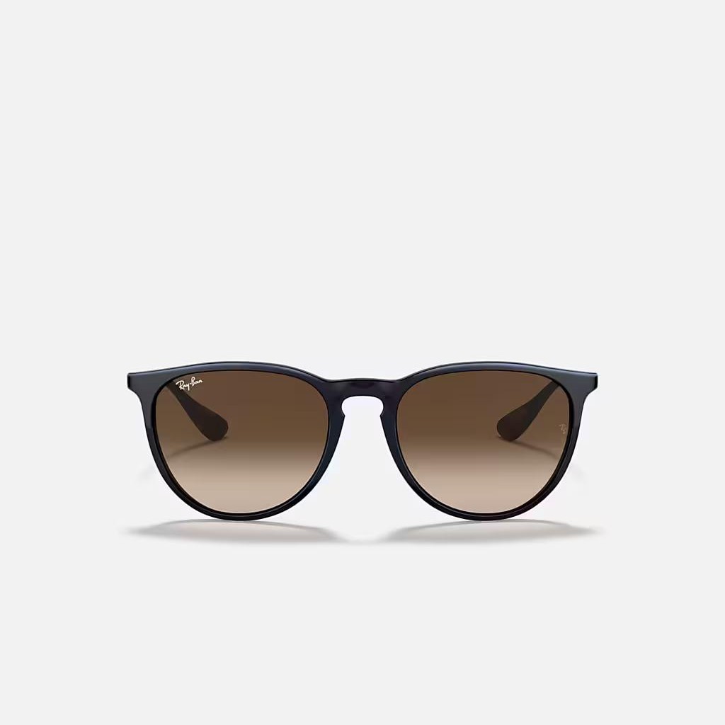 Kính Ray-Ban Erika Classic Đen Nâu