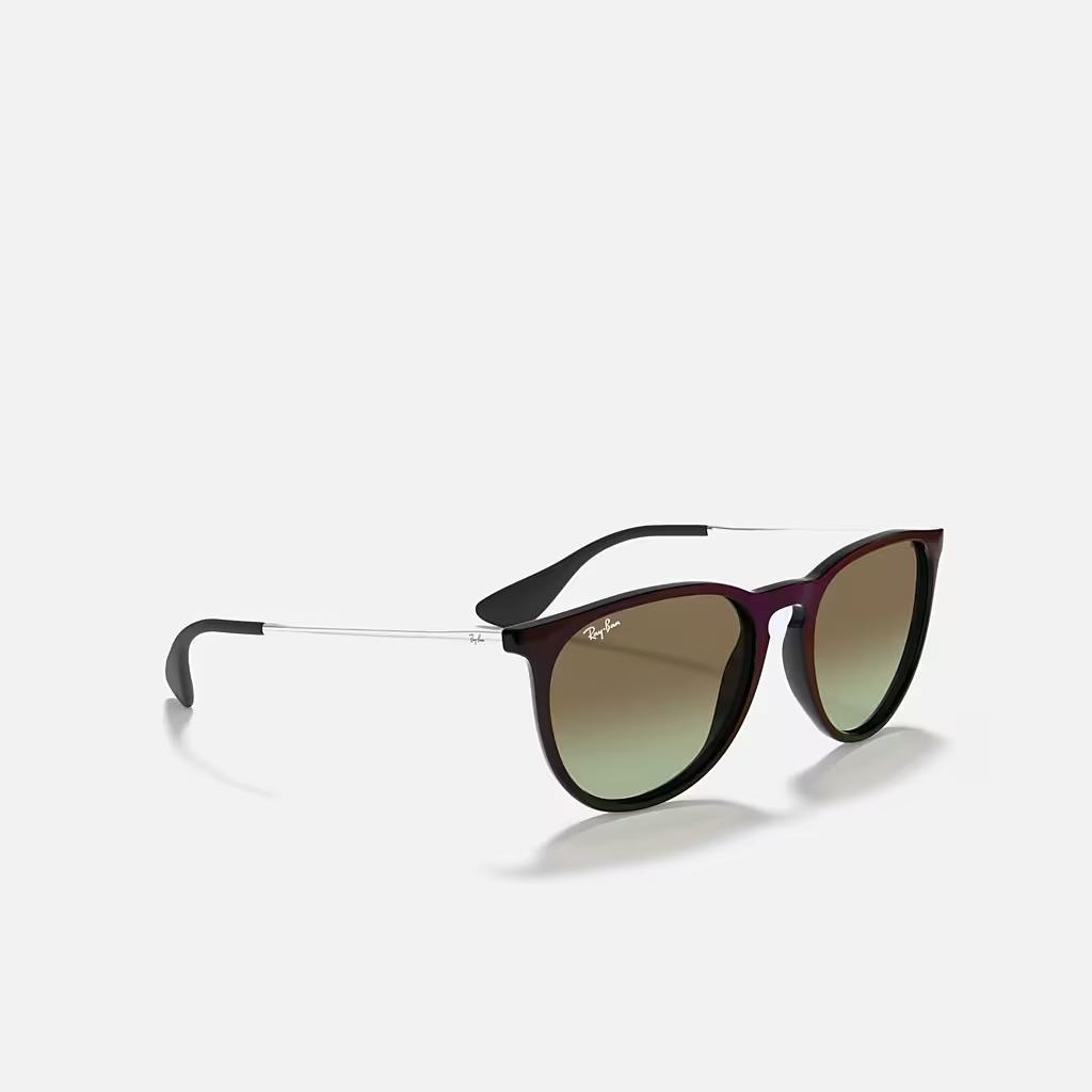 Kính Ray-Ban Erika Classic Đen Nâu Xanh