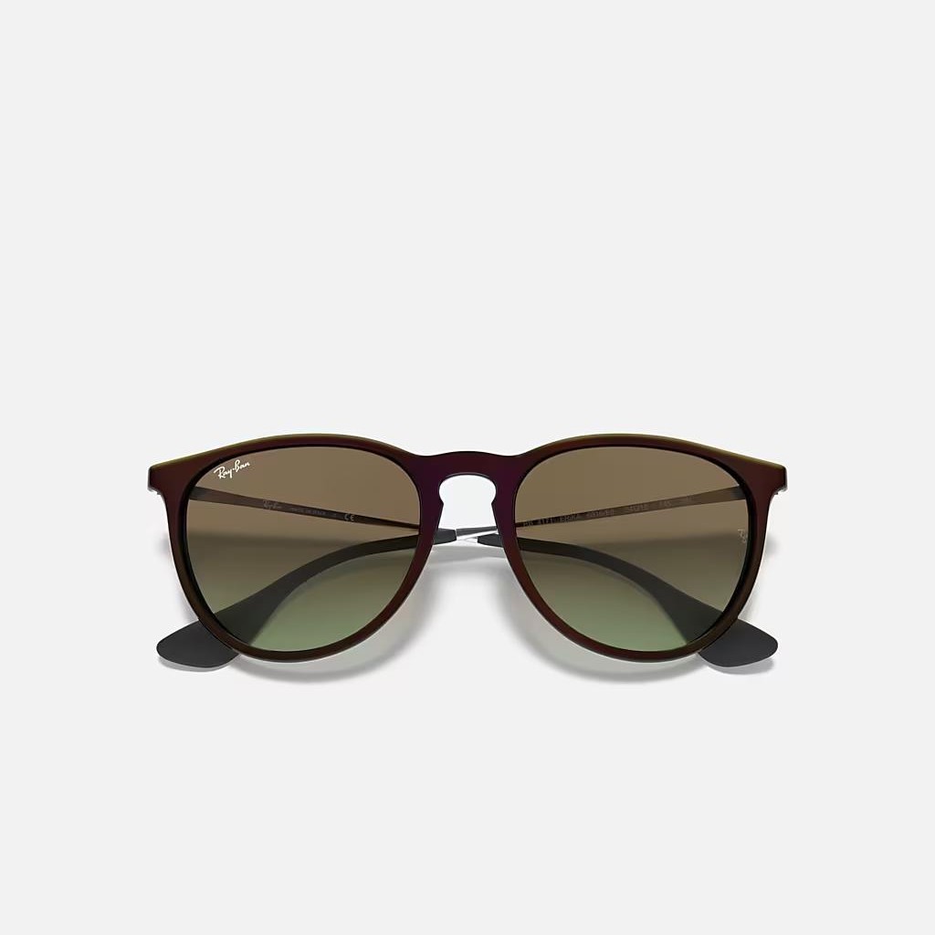 Kính Ray-Ban Erika Classic Đen Nâu Xanh