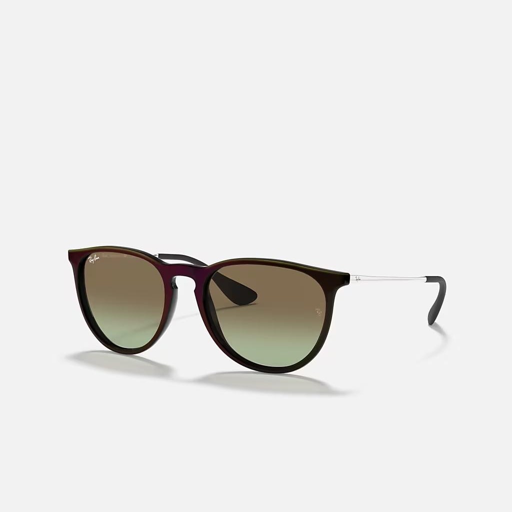 Kính Ray-Ban Erika Classic Đen Nâu Xanh