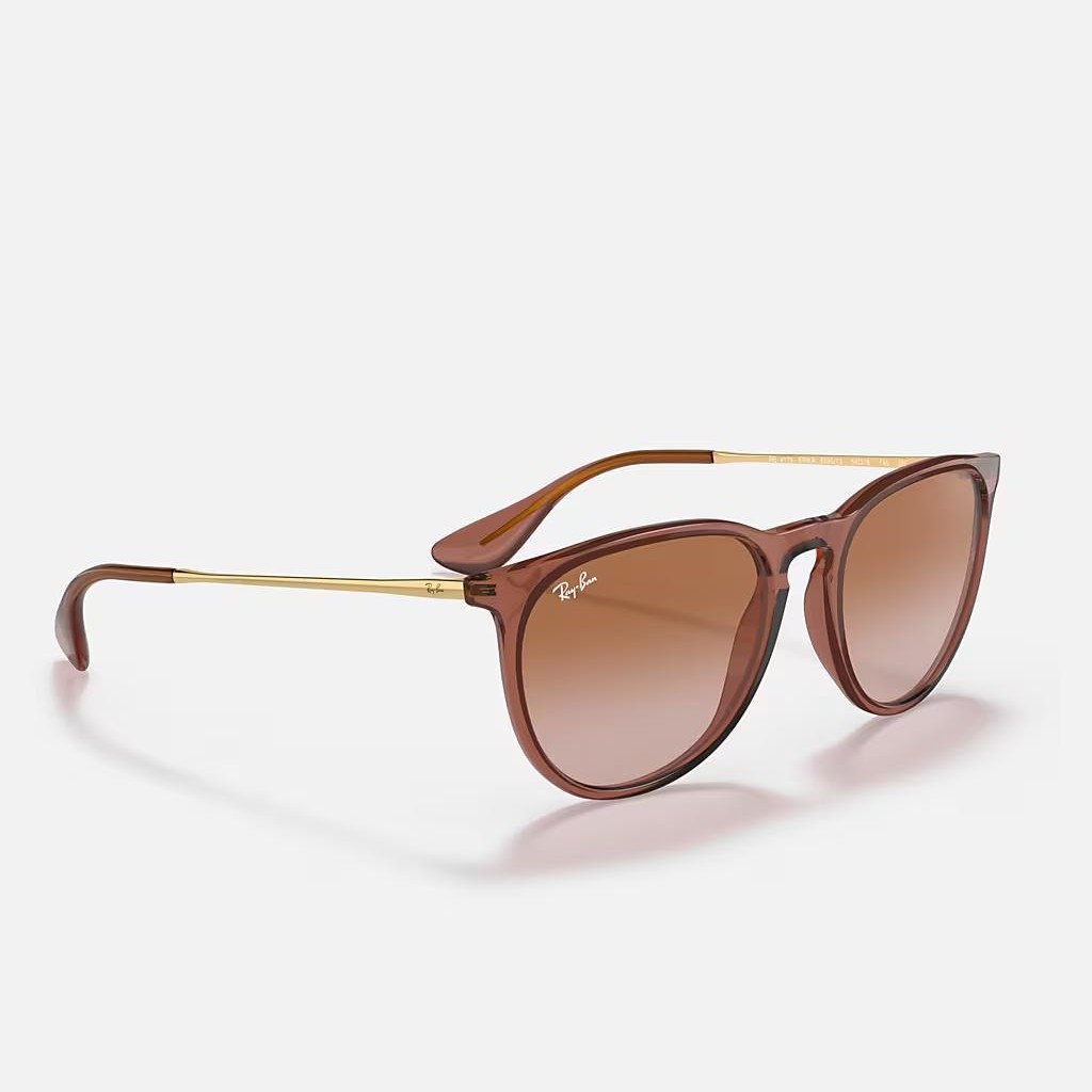 Kính Ray-Ban Erika Classic Nâu Sáng