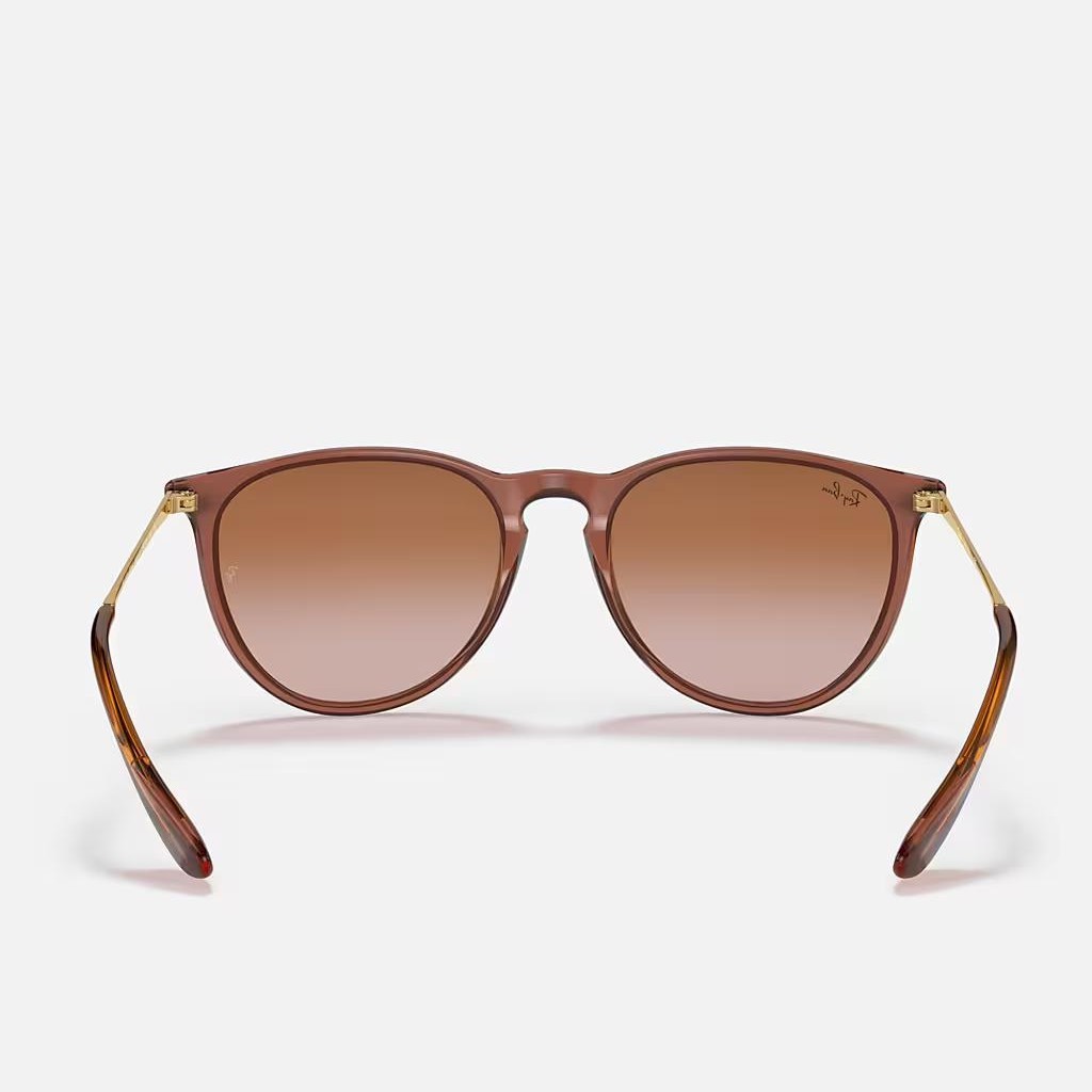 Kính Ray-Ban Erika Classic Nâu Sáng