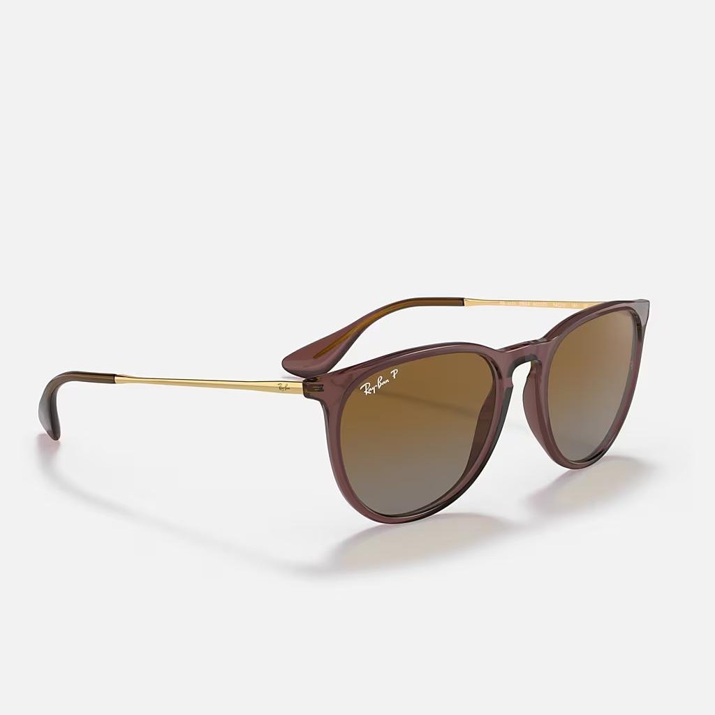 Kính Ray-Ban Erika Classic Nâu Đậm