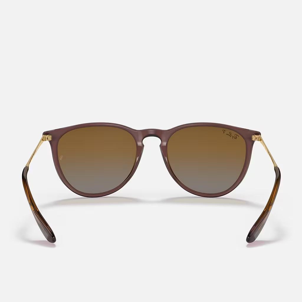 Kính Ray-Ban Erika Classic Nâu Đậm