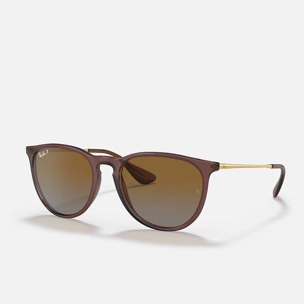 Kính Ray-Ban Erika Classic Nâu Đậm