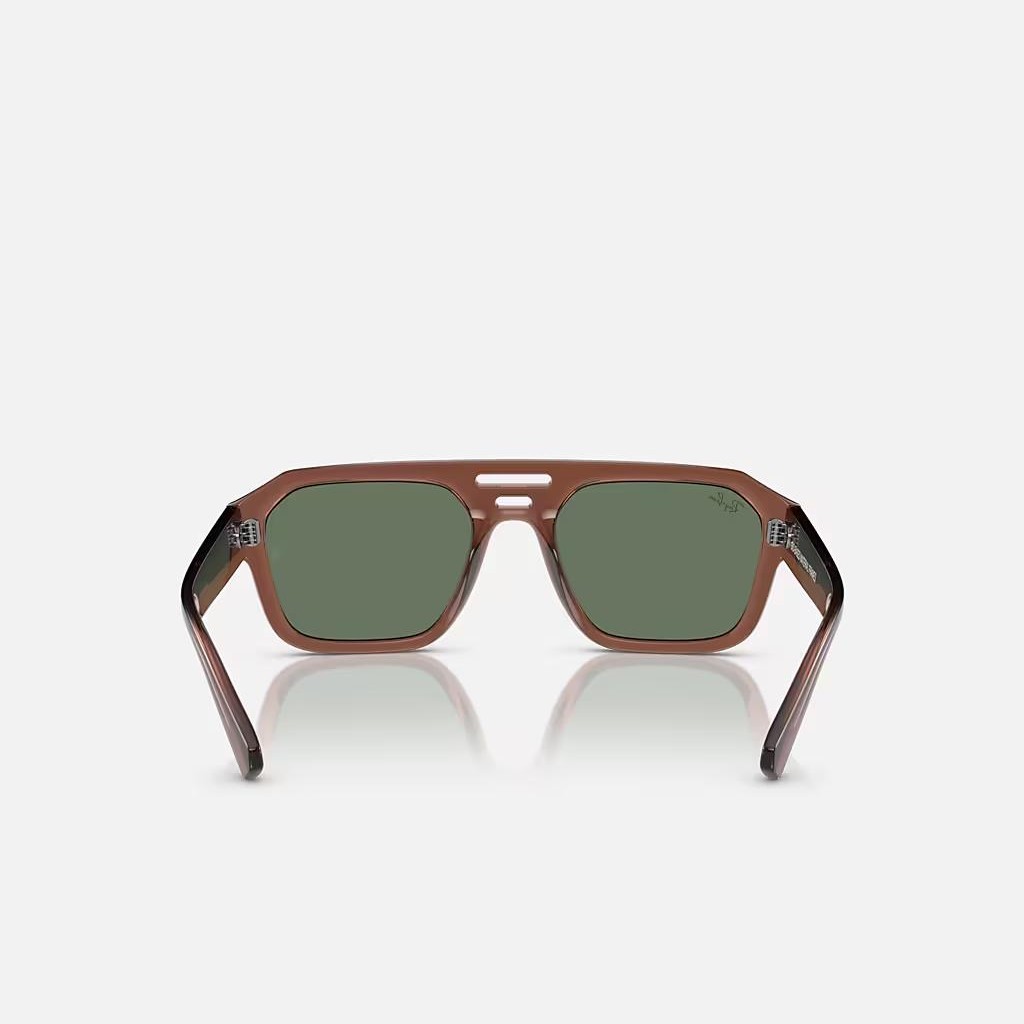 Kính Ray-Ban Corrigan Bio-Based Nâu Xanh Lá