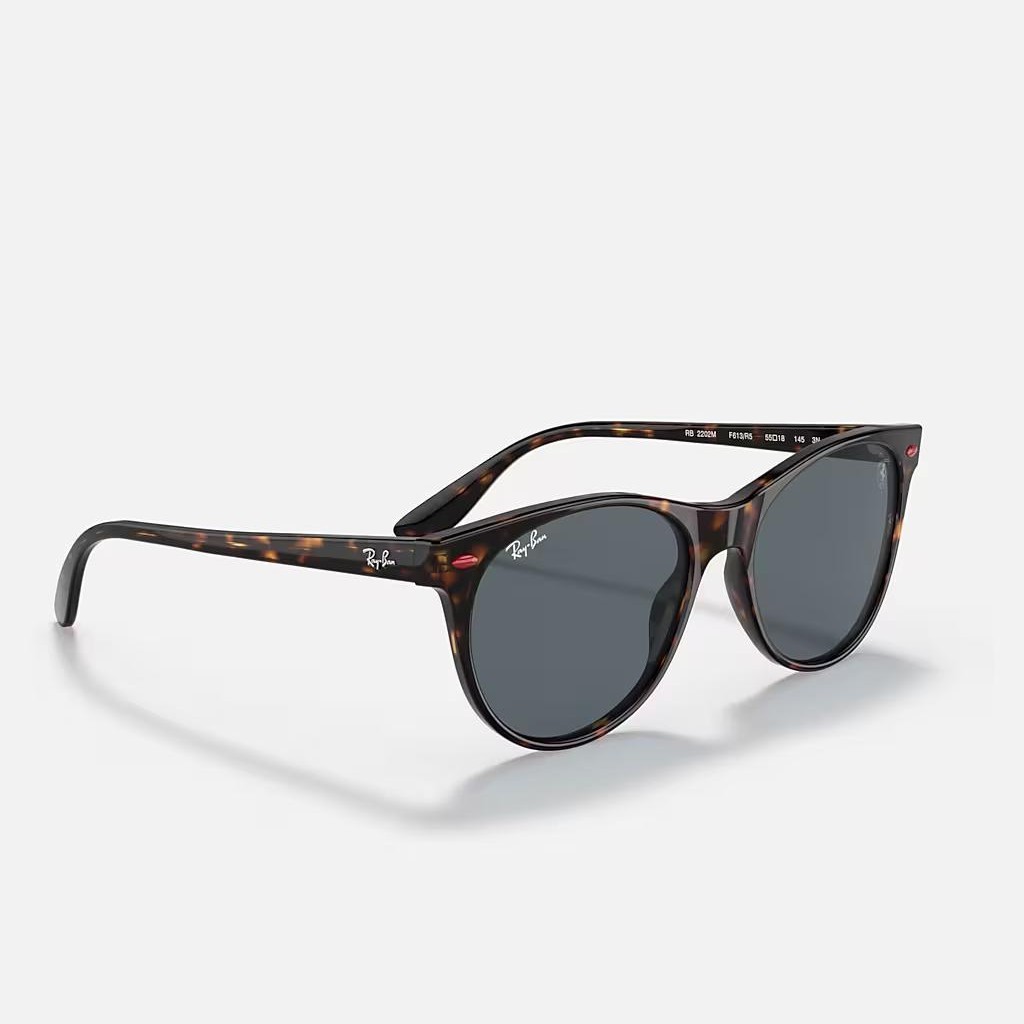 Kính Ray-Ban Rb2202M Scuderia Ferrari Collection Nâu Xanh Dương