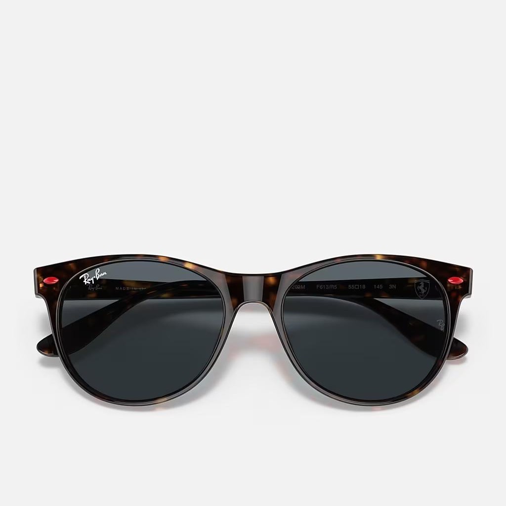 Kính Ray-Ban Rb2202M Scuderia Ferrari Collection Nâu Xanh Dương