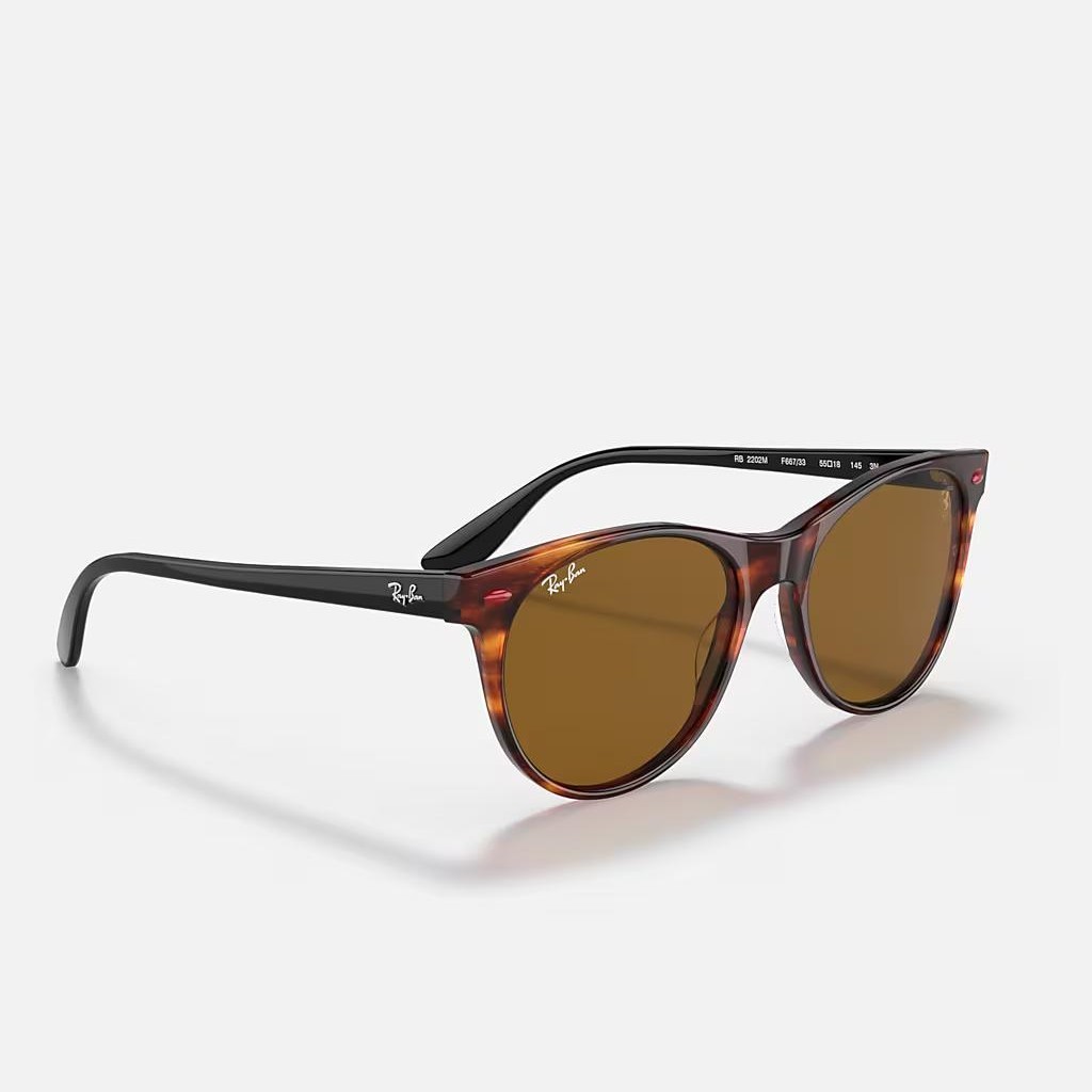 Kính Ray-Ban Rb2202M Scuderia Ferrari Collection Nâu