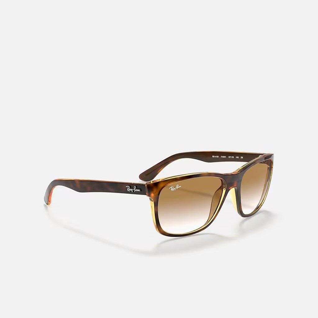 Kính Ray-Ban Rb4181 Nâu Sáng