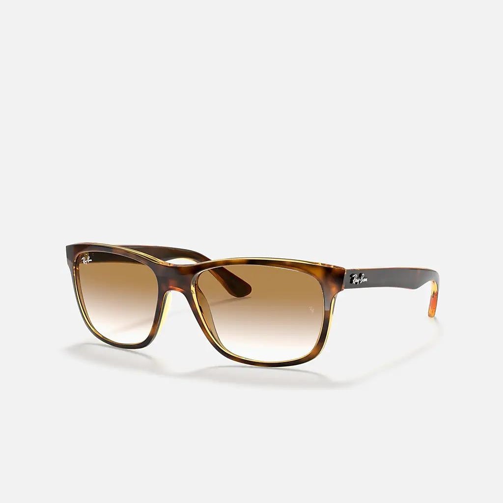 Kính Ray-Ban Rb4181 Nâu Sáng