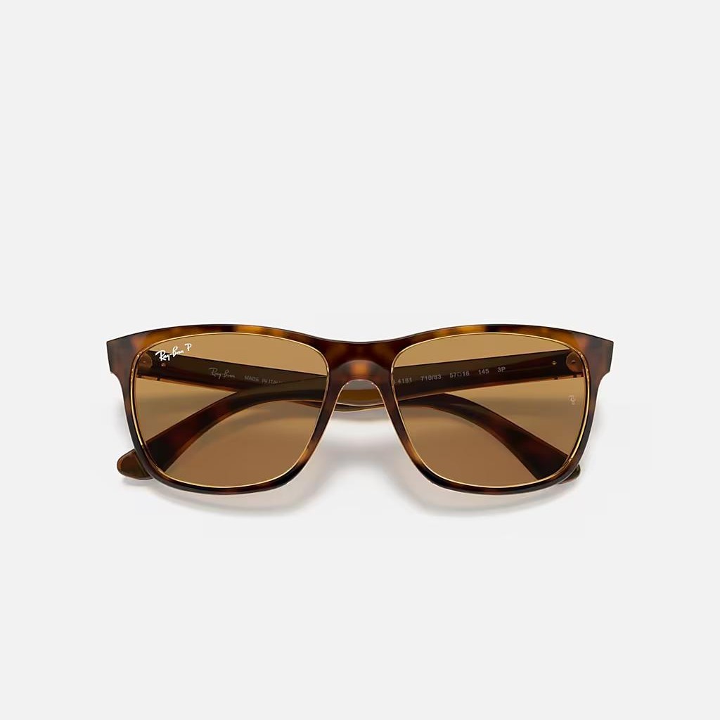 Kính Ray-Ban Rb4181 Polarized Nâu Sáng