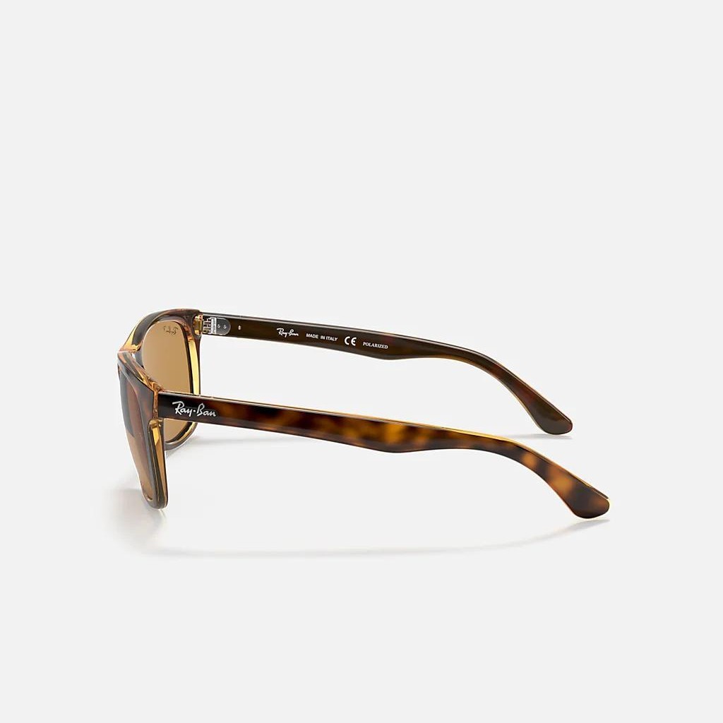 Kính Ray-Ban Rb4181 Polarized Nâu Sáng