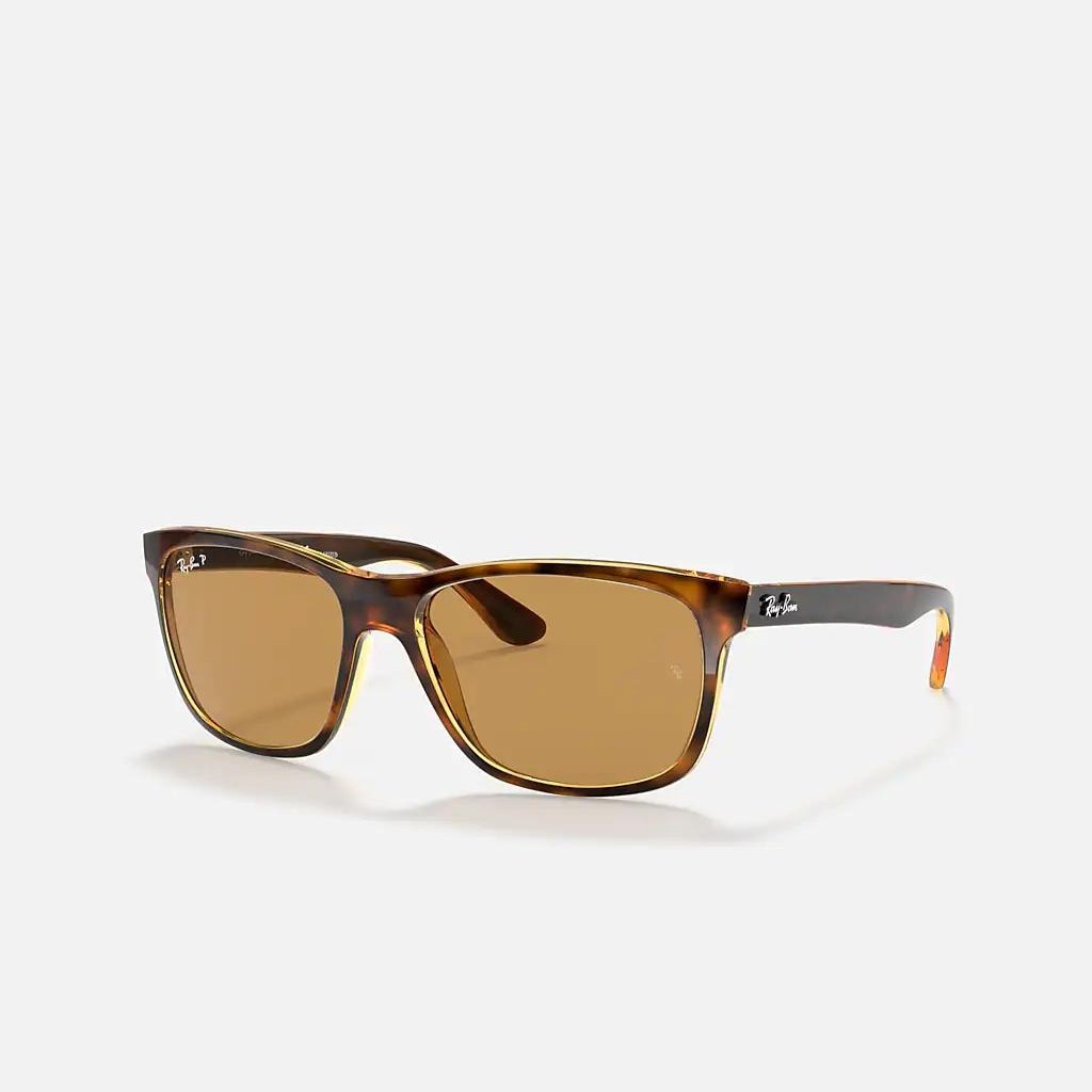 Kính Ray-Ban Rb4181 Polarized Nâu Sáng