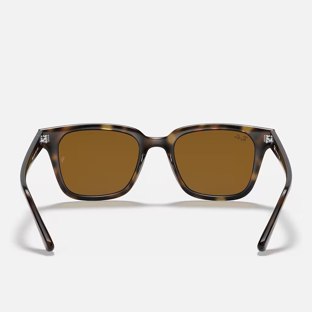 Kính Ray-Ban Rb4323 Nâu