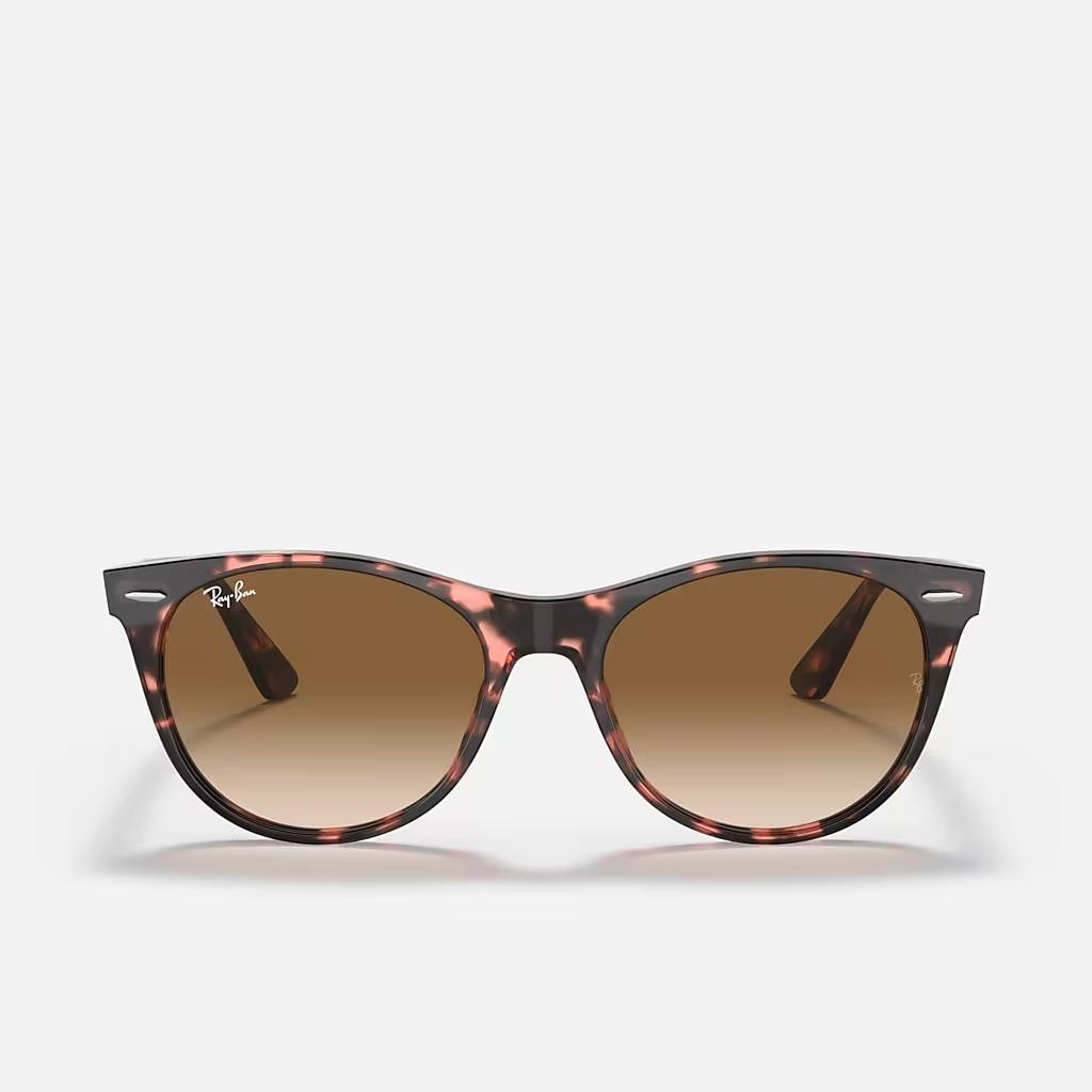 Kính Ray-Ban Wayfarer II Fleck Nâu Sáng