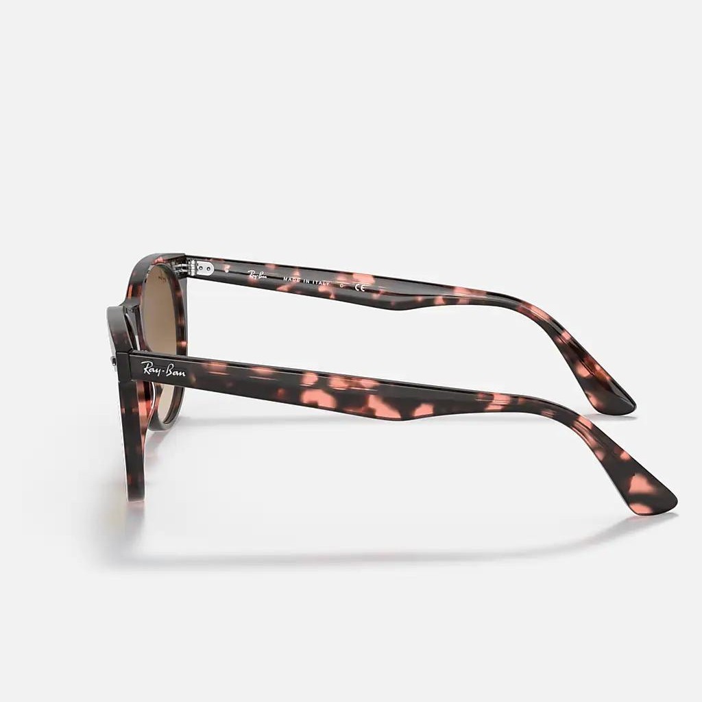 Kính Ray-Ban Wayfarer II Fleck Nâu Sáng