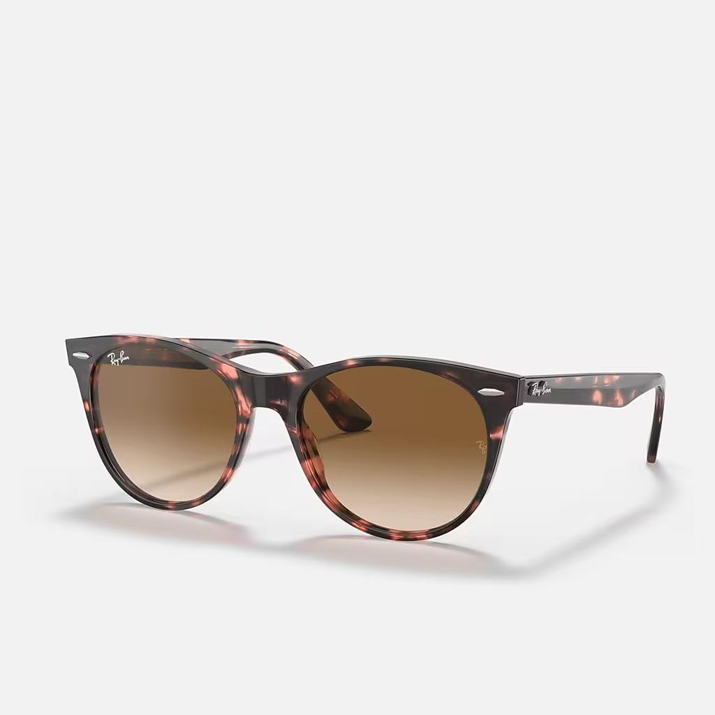 Kính Ray-Ban Wayfarer II Fleck Nâu Sáng