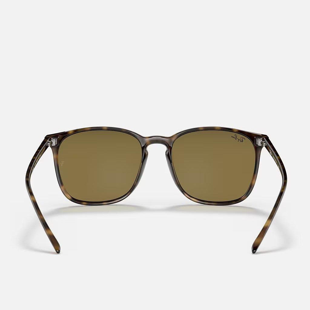 Kính Ray-Ban Rb4387 Nâu Đậm