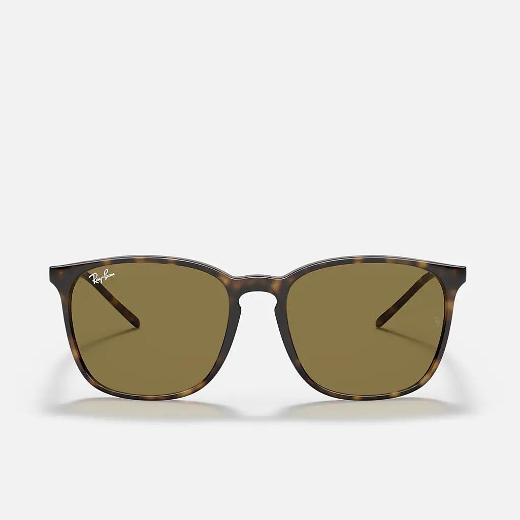 Kính Ray-Ban Rb4387 Nâu Đậm