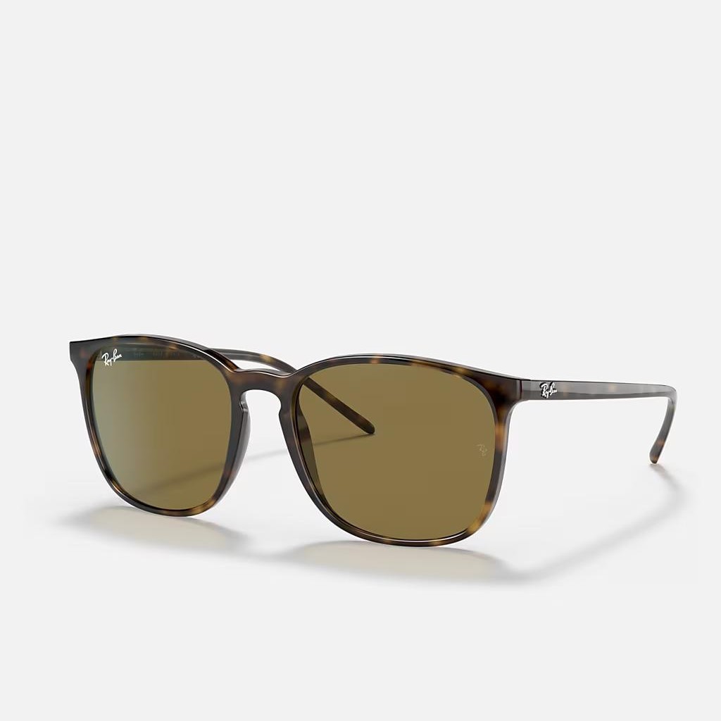 Kính Ray-Ban Rb4387 Nâu Đậm