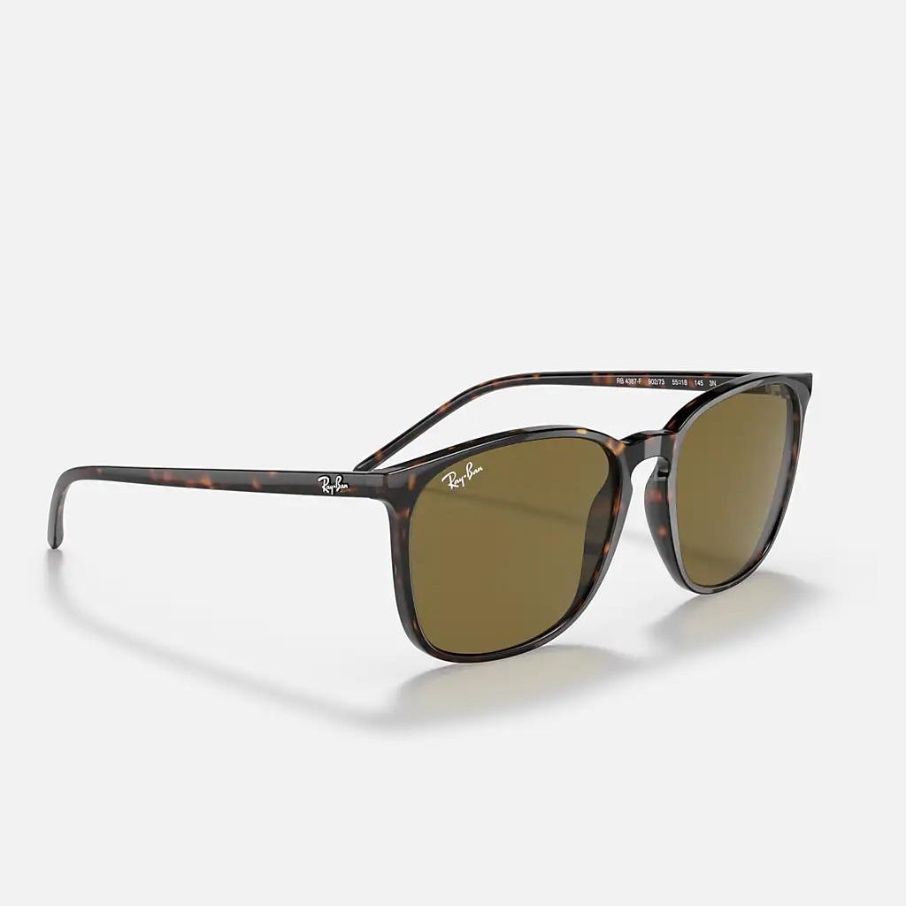 Kính Ray-Ban Rb4387 Nâu