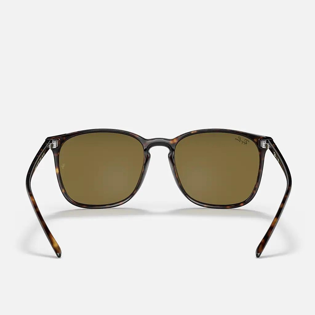 Kính Ray-Ban Rb4387 Nâu