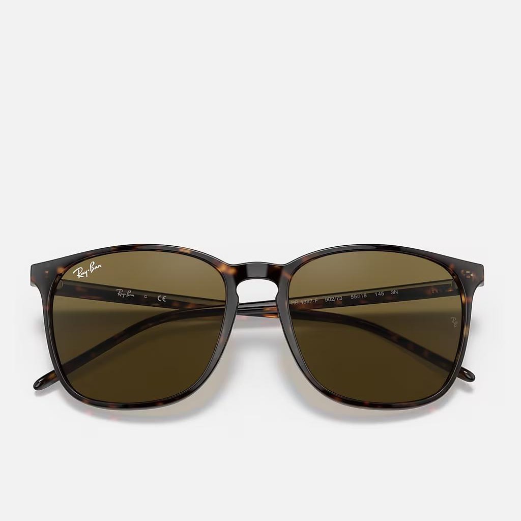 Kính Ray-Ban Rb4387 Nâu