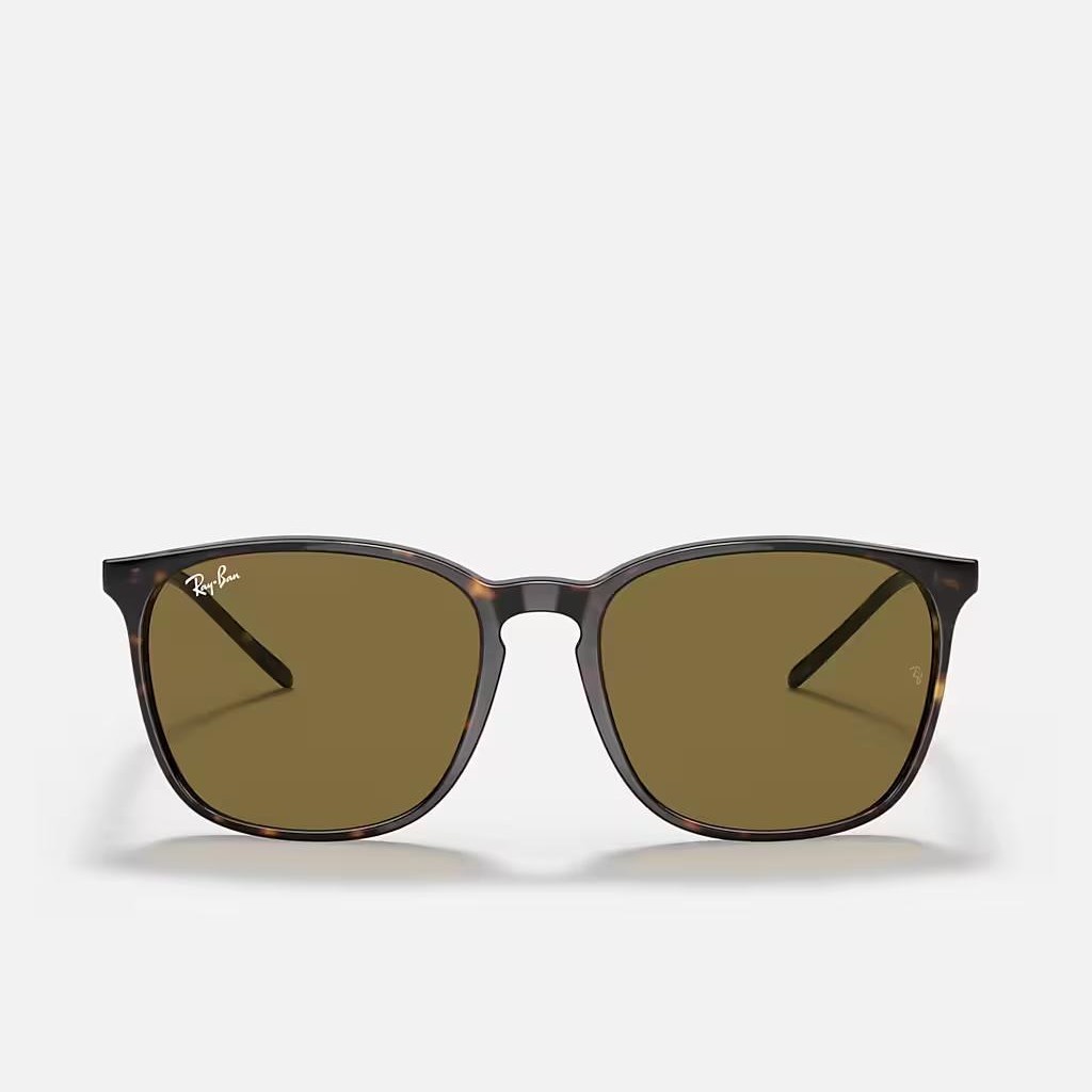 Kính Ray-Ban Rb4387 Nâu