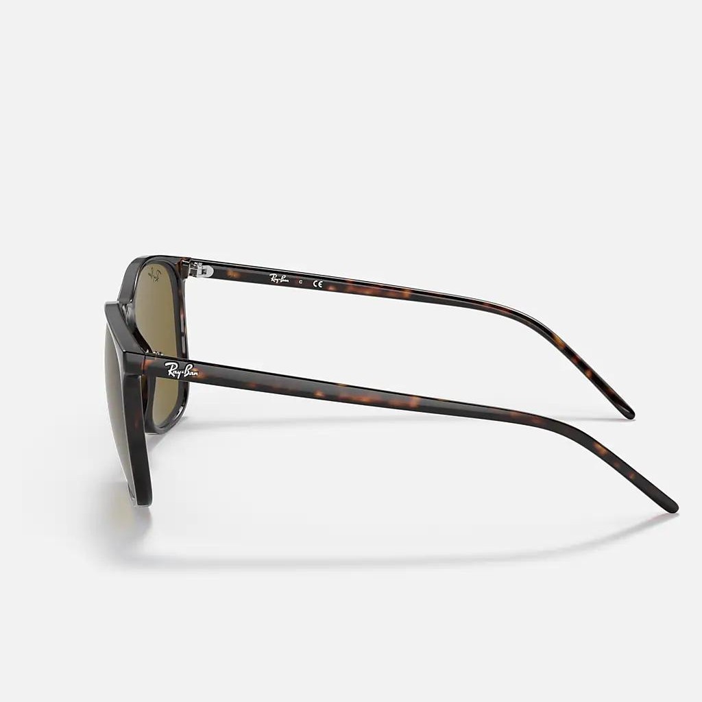 Kính Ray-Ban Rb4387 Nâu