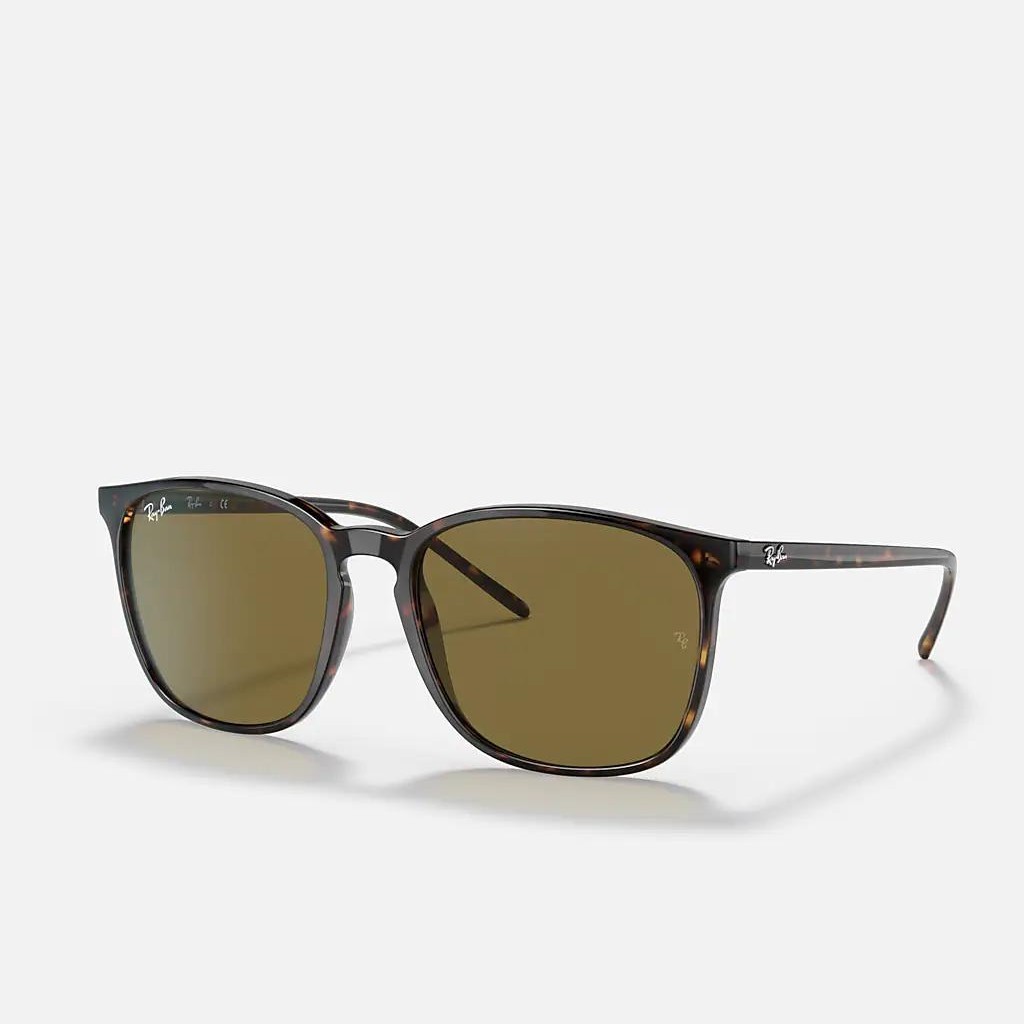 Kính Ray-Ban Rb4387 Nâu