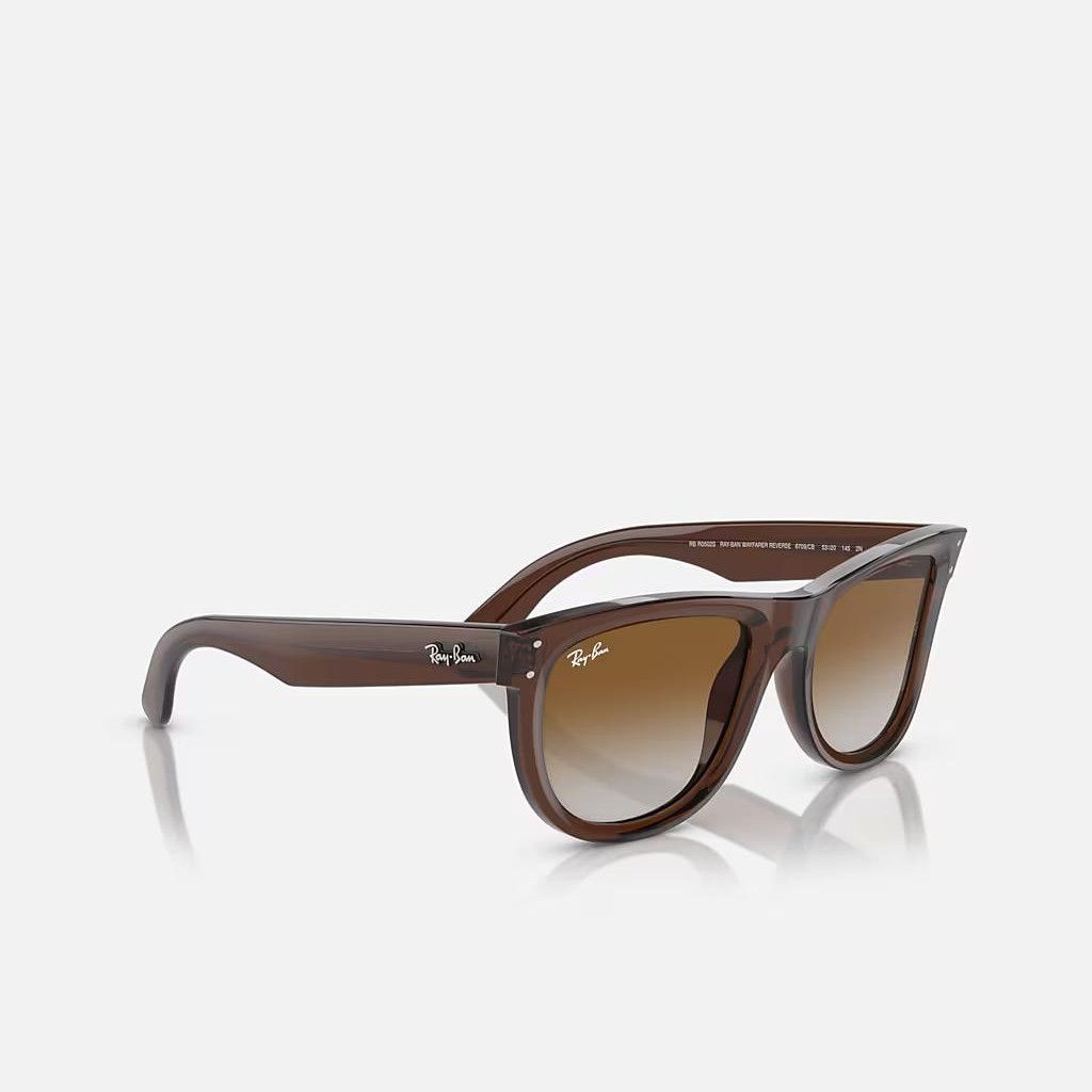 Kính Ray-Ban Wayfarer Reverse Nâu