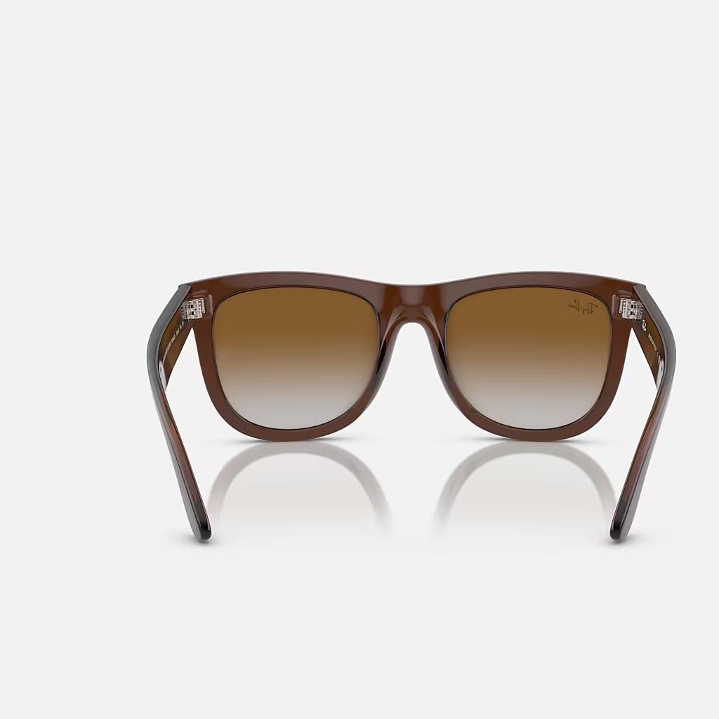 Kính Ray-Ban Wayfarer Reverse Nâu