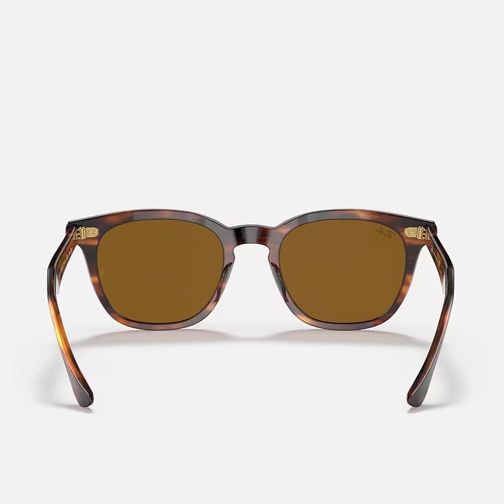 Kính Ray-Ban Hawkeye Nâu Đậm