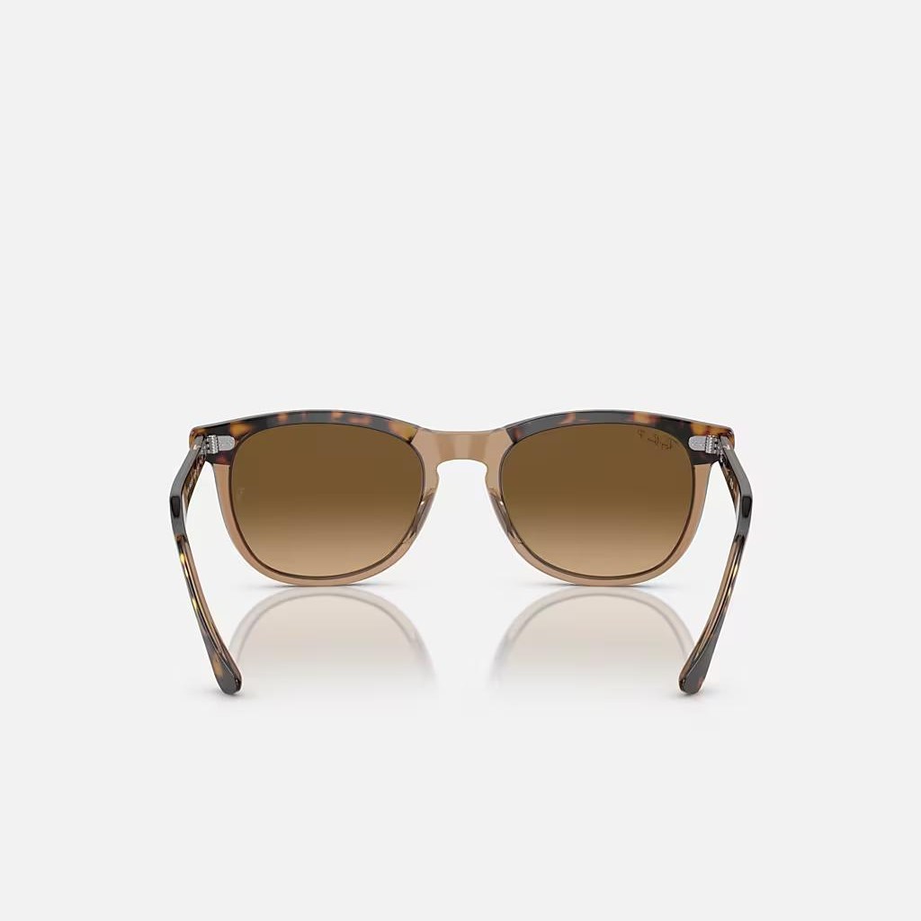 Kính Ray-Ban Eagle Eye Nâu