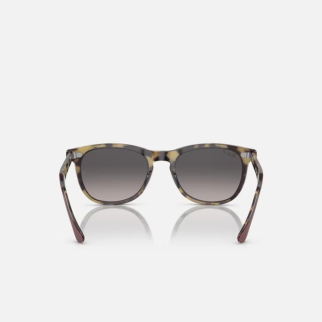 Kính Ray-Ban Eagle Eye Nâu Xám