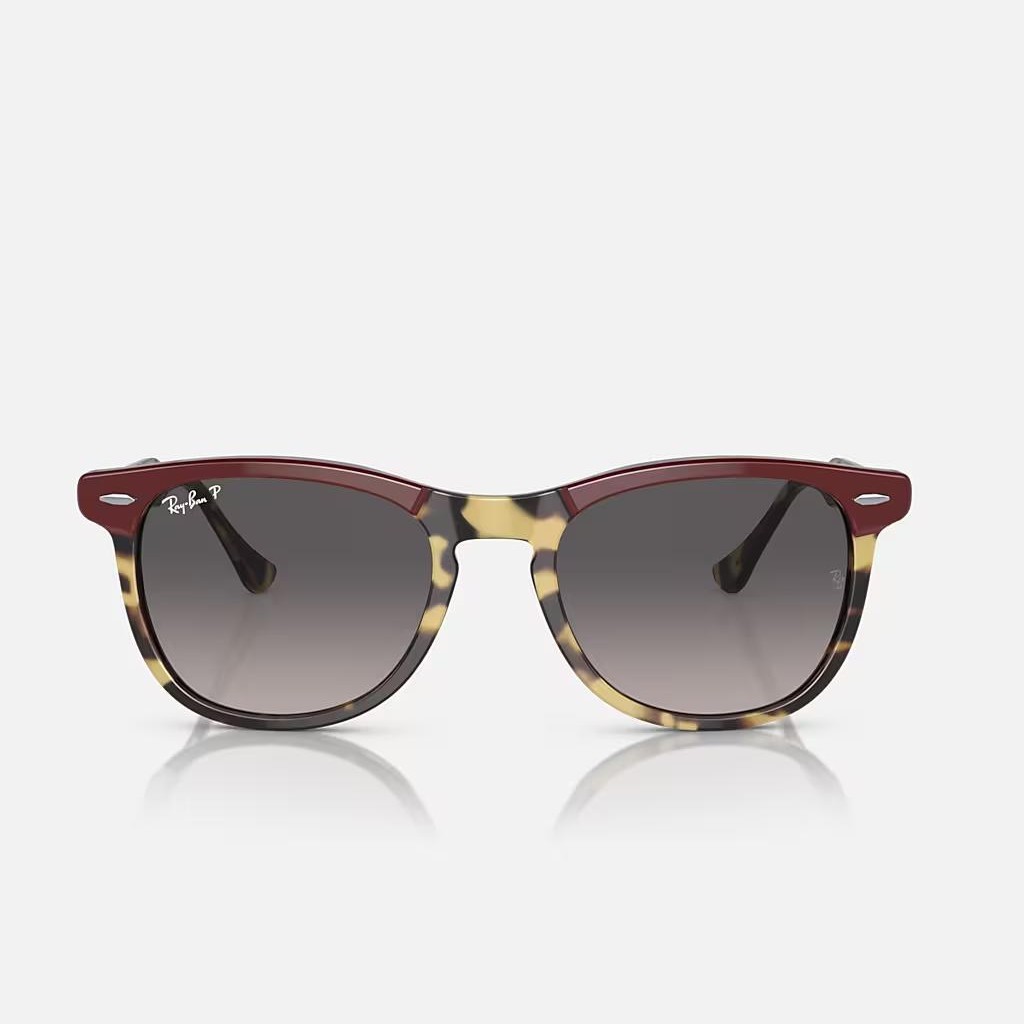 Kính Ray-Ban Eagle Eye Nâu Xám