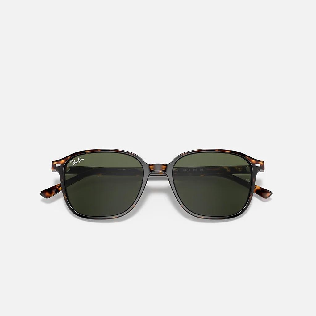 Kính Ray-Ban Leonard Nâu Xanh Lá