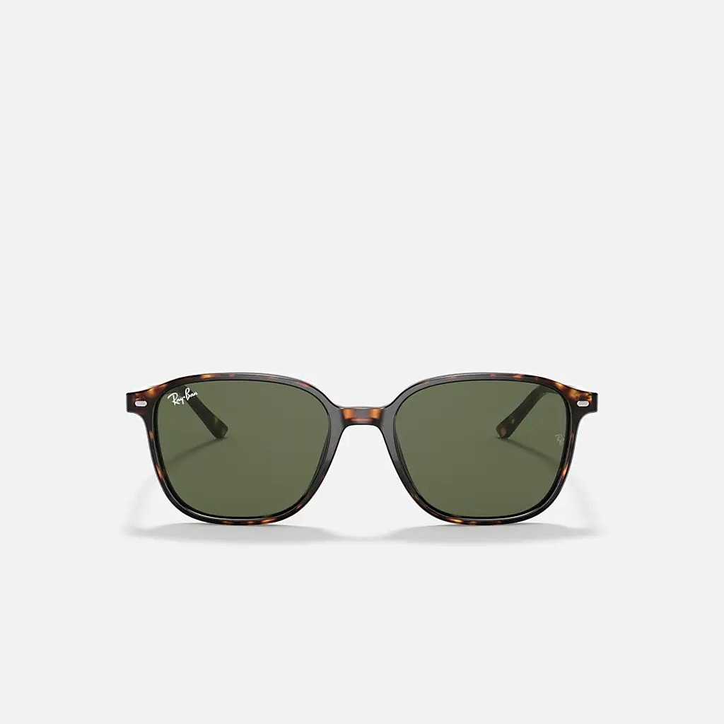 Kính Ray-Ban Leonard Nâu Xanh Lá