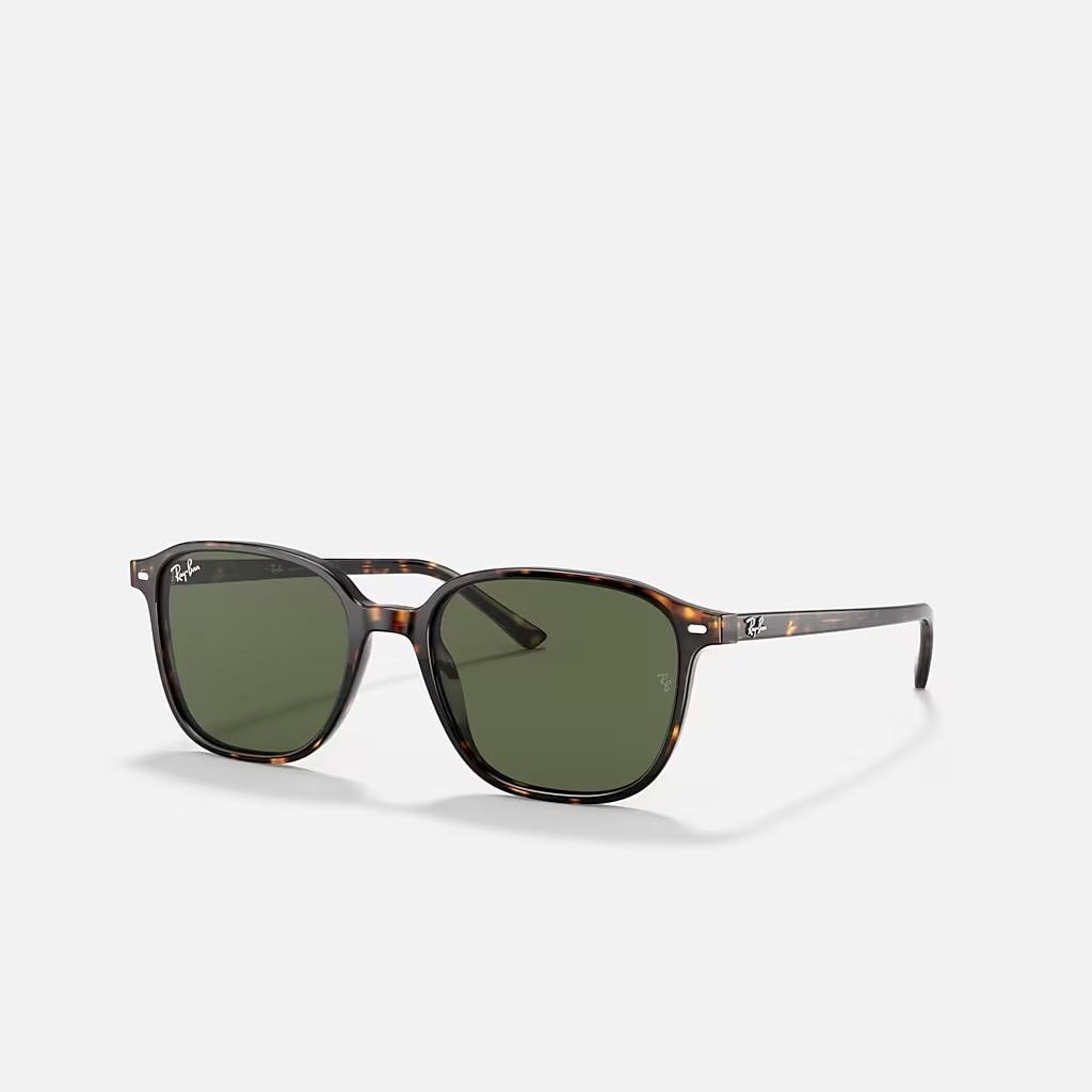 Kính Ray-Ban Leonard Nâu Xanh Lá