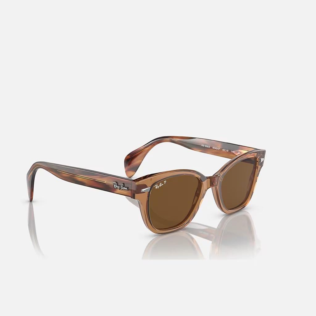 Kính Ray-Ban Rb0880S Nâu Trong