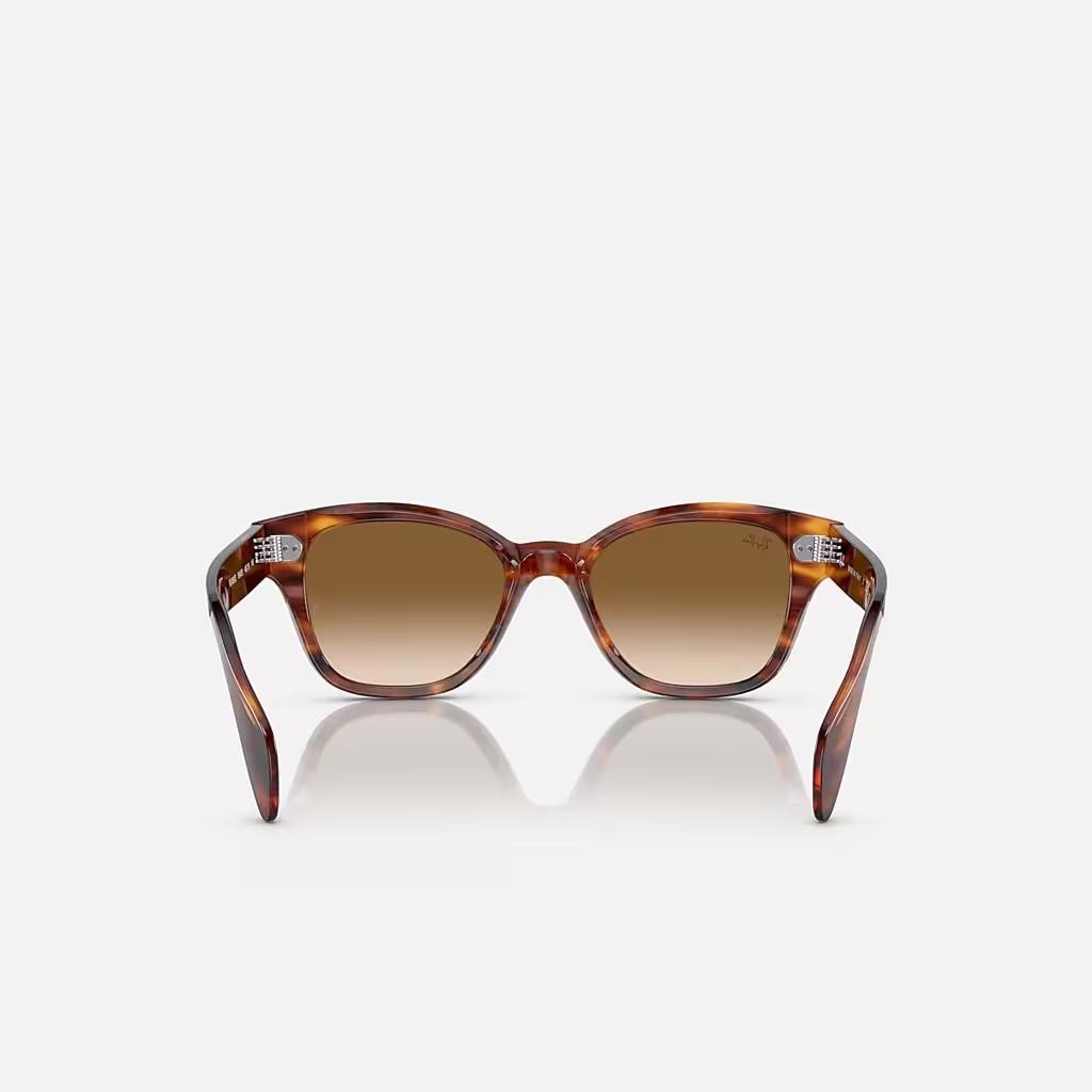 Kính Ray-Ban Rb0880S Nâu